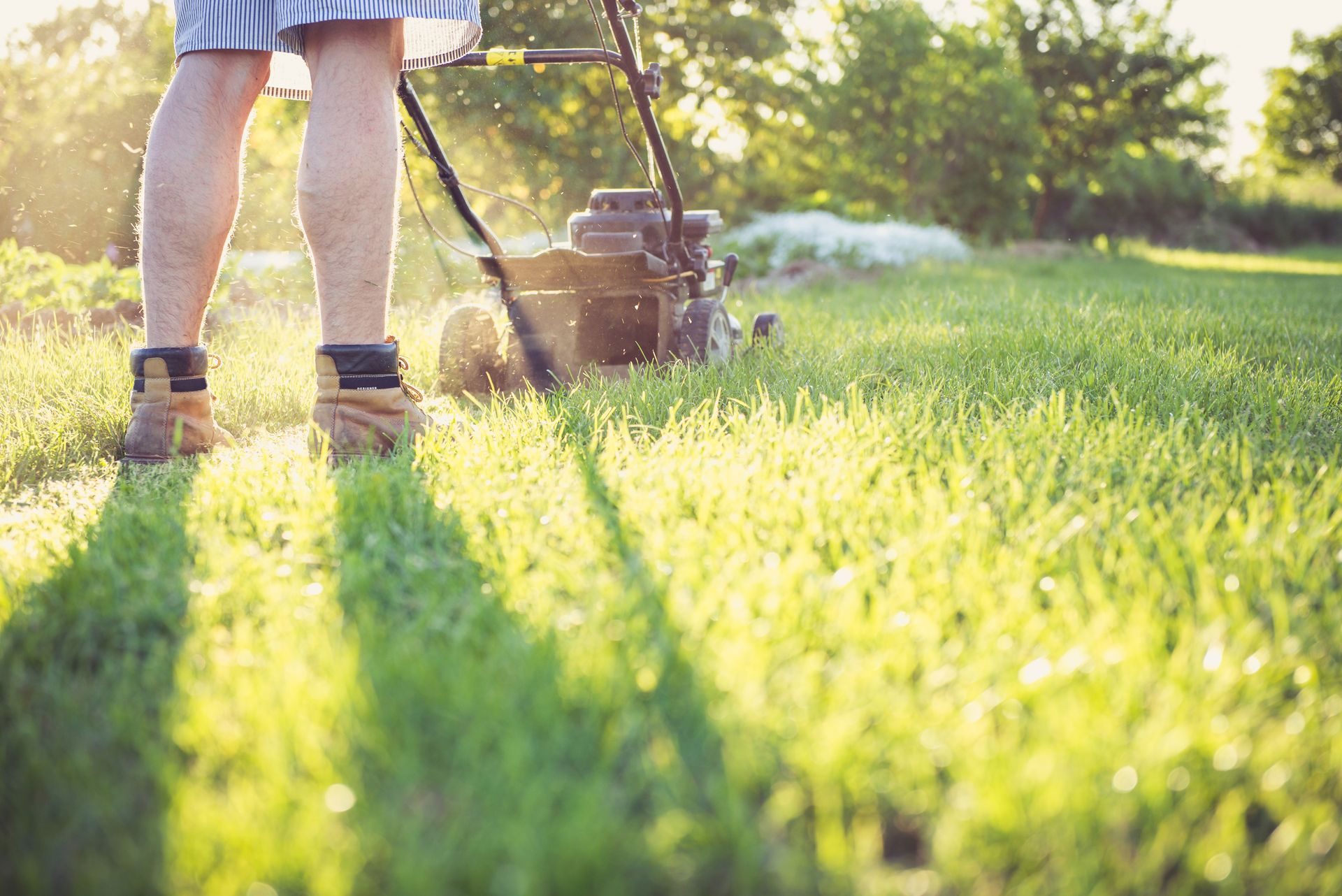 Person mowing a bright green lawn with a push mower